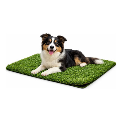 Repuesto Pasto Sintético Doggie Grass Grande Fancy Pets Antimicrobiano Lavable Reemplazo Para Tapete Entrenador Compatible Con Atrayentes Fácil Limpieza Textura Agradable Resistente Para Perros | MercadoLibre