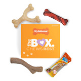 Caja De Regalo Para Perros Nylabone Para Perros Pequeños, 3