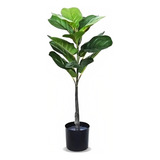 Planta Artificial Violín Ficus Panduraca Espacios Chicos