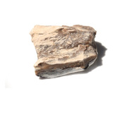 Madera Petrificada Fosil 100% Natural Mdfsl08