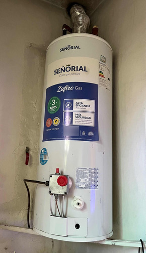 Termotanque Señorial Zafiro Multigas 85 Lts