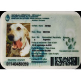 Dni Cédula Credencial Tarjeta Para Mascotas Perros Gatos