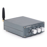 Amplificador De Potencia Digital Brzhifi Hifi Tpa3116 5.3 10