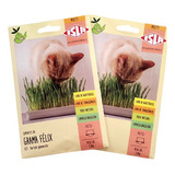 Kit 2 Pct Sementes Grama Félix Linha Pets (para Gatos)