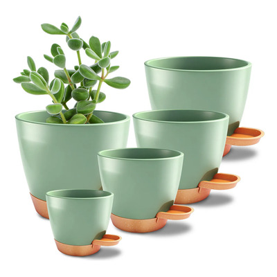 Set De 5 Planta Maceta Plastico Con Riego Automático Agua