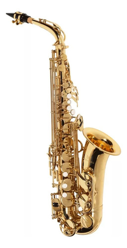 Saxofone Alto Michael Afinação Eb Com Acessórios