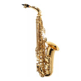 Saxofone Alto Michael Afinação Eb Com Acessórios