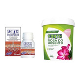 Fertilizante Forth Enraizador 60ml  + Rosa Do Deserto 400gr