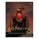Harry Potter Archivos Peliculas 5 Compañeros Plantas Magicas