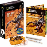 National Geographic Real Bug Dig Kit - Dig Up 3 Real Insects