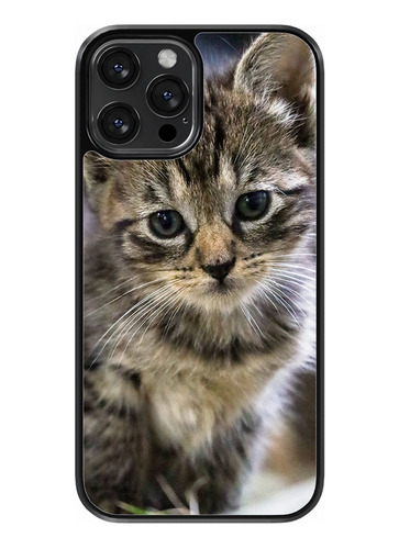 Funda Diseño Para Samsung Gatos Con Ojos Bonitos #4