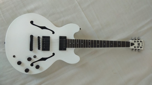 Guitarra Eléctrica Cuerpo Semi Hollow, Tipo Es 335, Greif