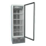 Freezer Exhibidor Vertical Fam Bt Fv420btd Dinamico