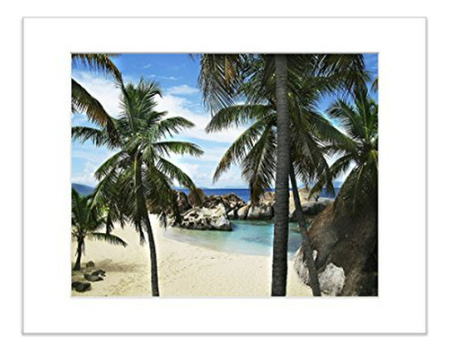 Tropical Beach Desk Art Decor Palm Tree 5x7 Inch Matted Phot