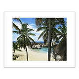 Tropical Beach Desk Art Decor Palm Tree 5x7 Inch Matted Phot