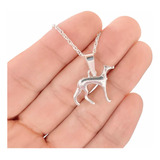 Colgante De Perro Galgo Nacional + Cadena De Plata