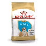 Royal Canin Bulldog Ingles Puppy Cachorro 3 Kg Nuska Petshop