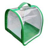 Inseto E Borboleta Habitat Cage Animal Pvc Clean Ver Para