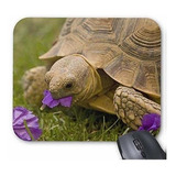 Mousepad Rectángulo Personalizado