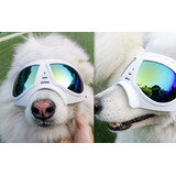 Lentes Googles Para Perro Raza Grande Tipo Rex Specs Gafas