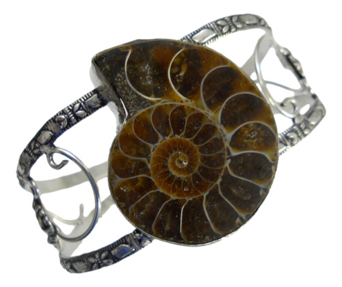 Pulsera Con Un Bello Caracol Fósil Natural Baño De Plata 925