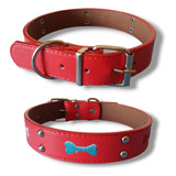 Collar Bordado Para Perros Razas Medianas Y Grandes