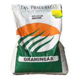 Semillas De Rye Grass Perenne (césped Inglés) X 10 Kgs Lps