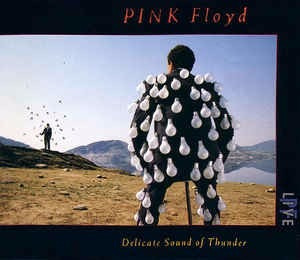 Pink Floyd Cd: Delicate Sound Of Thunder ( Argentina- Doble)