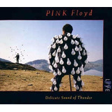 Pink Floyd Cd: Delicate Sound Of Thunder ( Argentina- Doble)