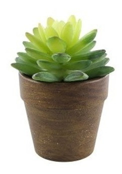 Planta Artificial Suculenta Con Maceta Decorativa 13 Cm