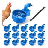 Sansanya Juego De 32 Tazas De Agua De Pollo, Taza Automtica