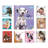 Cuaderno Universitario Torre 100h 7mm Pet Pack 10