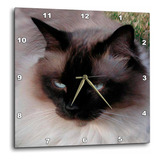 3drose Dpp_1220_3 Reloj De Pared Con Diseño De Gato Siamés,