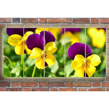 Cuadro 50x100cm Flores Flowers Colores M3