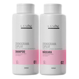 Kit Shampoo + Máscara Cronograma Capilar Lamine 2x500ml