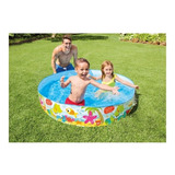 Piscina Rígida Infantil Piscina Niños 152 X 25cm Intex Color Azul