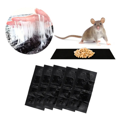5 Piezas Trampa Adhesiva Extra Grande Para Roedores Slim Company Captura Segura Y Eficiente De Ratas Y Ratones Con Pegamento Potente Herramienta Efectiva De Caza Adhesiva Para Control De Plagas | MercadoLibre