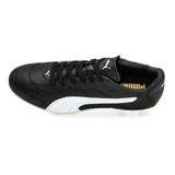 Botines Puma Borussia Fg 0781 Dash 3 Csi