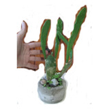 Cactus Mediano Opuntia Bras. Nopal Maceta Cemento Avellan.