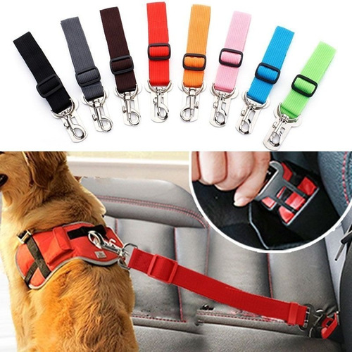 Correa Cinturón Seguridad Mascota Perro Carro Colores