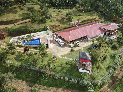 Finca En Buenavista Quindío - Imagen 3