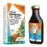 Saludynam Jarabe Magnesio+zinc+vitamina D  250ml