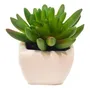 Suculenta Planta Artificial Maceta Ceramica - Sheshu Home Color mod12 | MercadoLibre