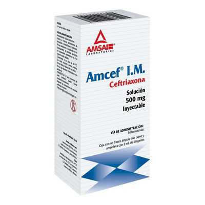 Amcef Im Solución Inyectable 500 Mg, 1 Frasco Ámpula + 1 Ampolleta Diluyente 2 Ml | MercadoLibre