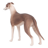 Figura De Perro Cachorro, Modelo De Galgo, Educación Científ