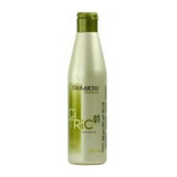 Salerm Shampoo Citric 01 250ml Cabello Procesado Coloreado 