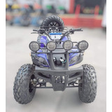 Sunl Atv 250 Estandar