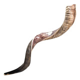 Shofar De Israel 99 Cm Sh19