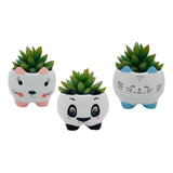 Vasinhos Kit Com 3 Gato E Panda De Cerâmica Para Suculenta 