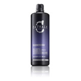 Tigi Shampoo Fashionista 750 Ml Catwalk Gris Rubio Matizador